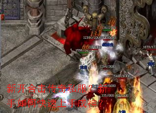 �¿��ϻ�����˽����������ο������ֳ���