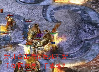 �¿��ϻ�����˽����������ο������ֳ���