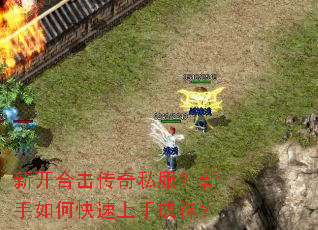 �¿��ϻ�����˽����������ο������ֳ���