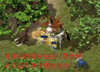 ����Щ�������������Ǵ�������Ҳ�Ը͸¶�����ܣ�