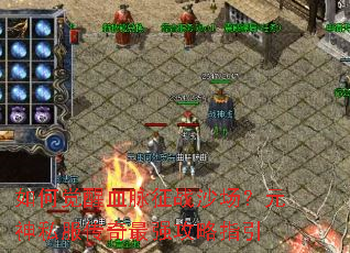 如何觉醒血脉征战沙场?元神私服传奇最强攻略指引 如何觉醒血脉征战沙场?元神私服传奇最强攻略指引