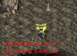 ��ξ���Ѫ����սɳ����Ԫ��˽��������ǿ����ָ��