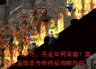 ��ս��ȼ�����������ȾѪ��ѪȾ����΢�䴫���ռ�����ָ��