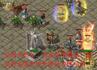 ��ս��ȼ�����������ȾѪ��ѪȾ����΢�䴫���ռ�����ָ��