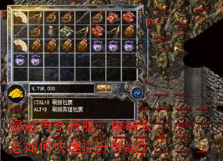 �̱鴫���·�������������ο��������ȼ���