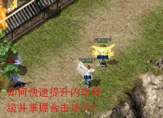 ��ο��������ڹ��ȼ������պϻ����ɣ�