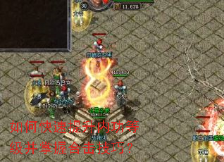 ��ο��������ڹ��ȼ������պϻ����ɣ�