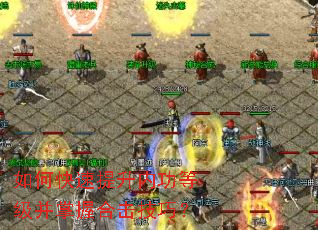 ��ο��������ڹ��ȼ������պϻ����ɣ�