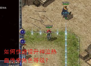 ��ο�������������Ѫ�����ɫ�ȼ���