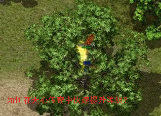 ��������Ĵ����п��������ȼ���