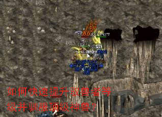 如何快速提升驭兽者等级并驯服顶级神兽? 如何快速提升驭兽者等级并驯服顶级神兽?