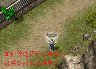 如何快速提升驭兽者等级并驯服顶级神兽? 如何快速提升驭兽者等级并驯服顶级神兽?