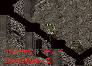 ��ο�������Ԧ���ߵȼ���ѱ���������ޣ�