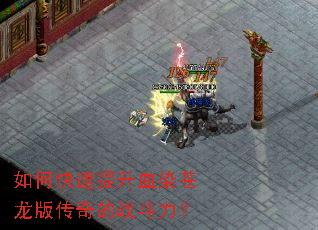 ��ο�������ѪȾ�����洫���ս������