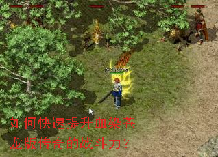 ��ο�������ѪȾ�����洫���ս������