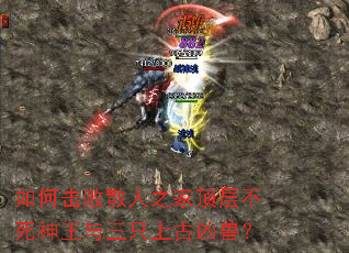 ��λ���ɢ��֮�Ҷ��㲻����������ֻ�Ϲ����ޣ�