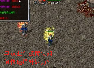 ��ְҵ����������ο�������ս����