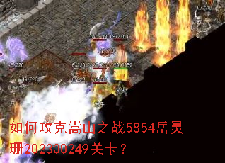 ��ι�����ɽ֮ս5854����ɺ202300249�ؿ���