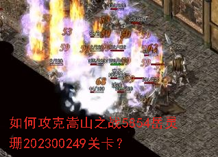 ��ι�����ɽ֮ս5854����ɺ202300249�ؿ���