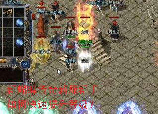 �º��������·�������ο��������ȼ���