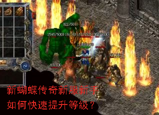 �º��������·�������ο��������ȼ���