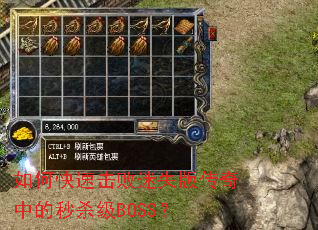 ��ο��ٻ�����ʧ�洫���е���ɱ��BOSS��