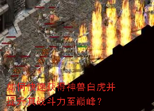 ��ο��ٻ�����ް׻���������ս�������۷壿