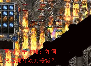 ���ݴ��湥�ԣ���ο�������ս���ȼ���