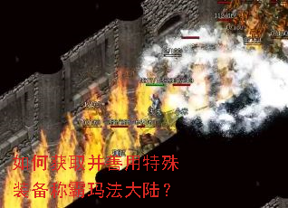 如何获取并善用特殊装备称霸玛法大陆? 如何获取并善用特殊装备称霸玛法大陆?