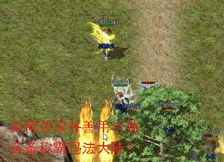 如何获取并善用特殊装备称霸玛法大陆? 如何获取并善用特殊装备称霸玛法大陆?
