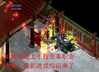 ��ο������ֳ��䵥ְҵ���棿�����ٳ�ָ������