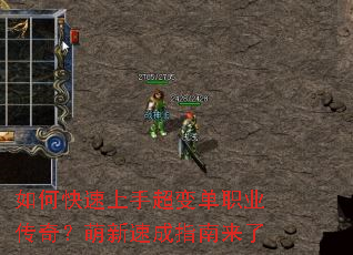 ��ο������ֳ��䵥ְҵ���棿�����ٳ�ָ������