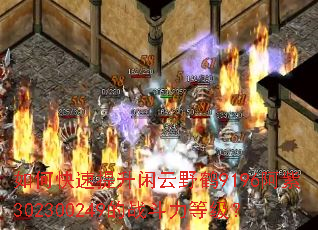 ��ο�����������Ұ��9196����302300249��ս�����ȼ���