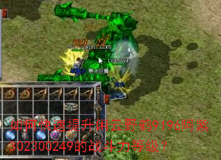 ��ο�����������Ұ��9196����302300249��ս�����ȼ���