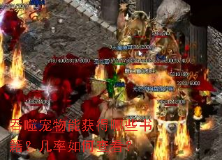 ���ɳ����ܻ����Щ�鼮��������β鿴��