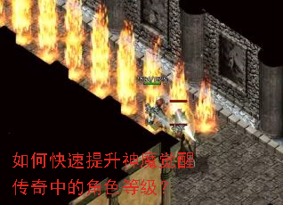 ��ο���������ħ���Ѵ����еĽ�ɫ�ȼ���