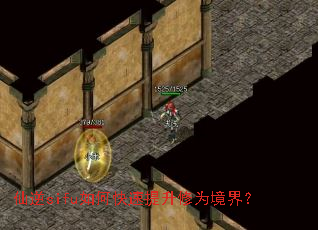 ����sifu��ο���������Ϊ���磿