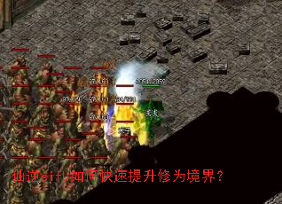 ����sifu��ο���������Ϊ���磿