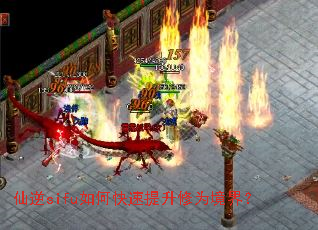 ����sifu��ο���������Ϊ���磿