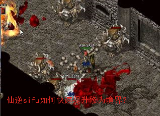 ����sifu��ο���������Ϊ���磿