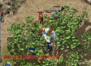 ��ο����������罣��ȼ���