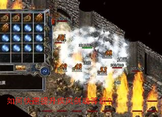 ��ο����������罣��ȼ���