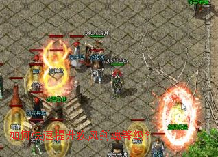 ��ο����������罣��ȼ���