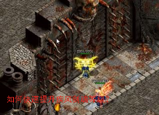 ��ο����������罣��ȼ���