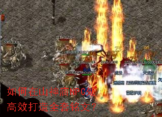 �����ɽ����NPC����Ч����ȫ�����ģ�