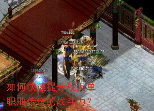 ��ο�������ս�쵥ְҵ�����ս������