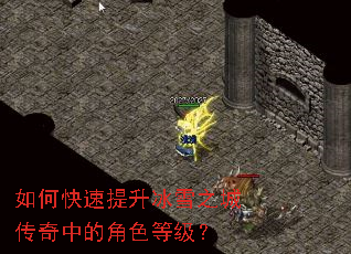 ��ο���������ѩ֮�Ǵ����еĽ�ɫ�ȼ���