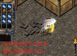 ��ο���������ְҵ��ʧ��������ս����