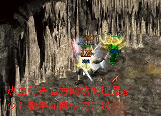 ��Ѫ����ٷ���վ��ַ�Ƕ��٣�������ο���������