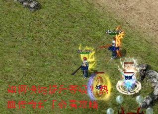 ��ο��������ȼ�����Ѫ�������ֱؿ�����